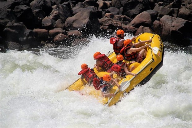 1468517_10152080658719363_932881575_n