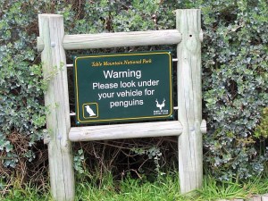 1377226_725409694139803_1230826885_n