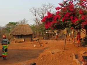 1383312_725413717472734_643814765_n