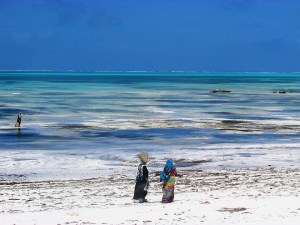 zanzibar