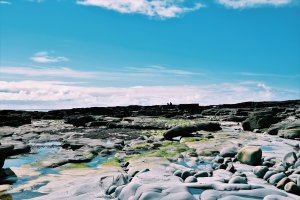 2018-03-11 013388199538356078150..jpg