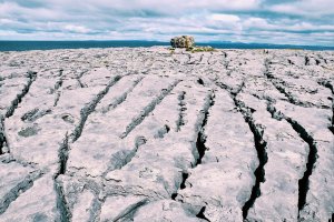 2018-03-11 018760561429395101331..jpg