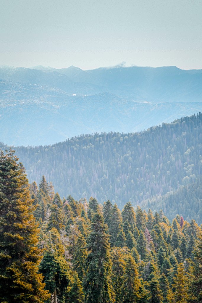 Bordzjomi national park