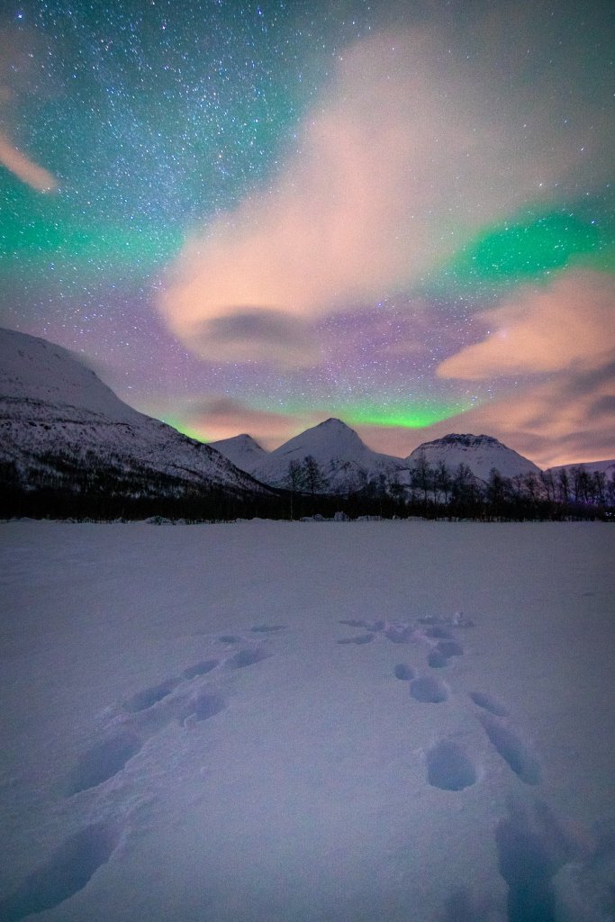 Aurora Borealis