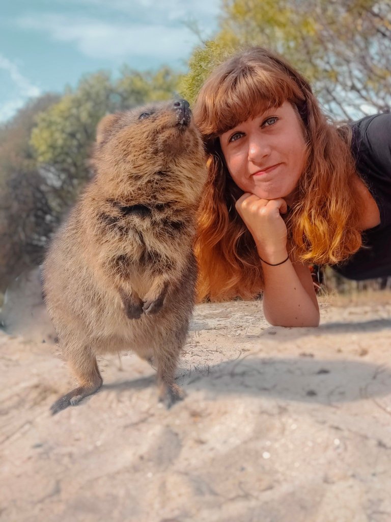 Quokka